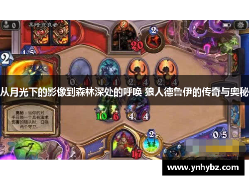 从月光下的影像到森林深处的呼唤 狼人德鲁伊的传奇与奥秘